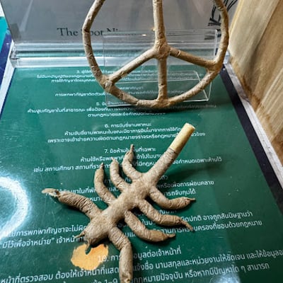 The Spot Cannabis Dispensary | ร้านกัญชาเชียงใหม่ Cannabis shop Chiang Mai product image