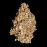 Shuga leaf Cannabis Delivery