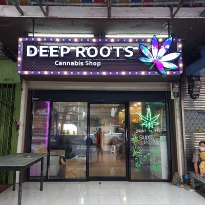 Deep roots Cannabis