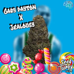 GaryPaton x Jealousy (Seed​Junky​)