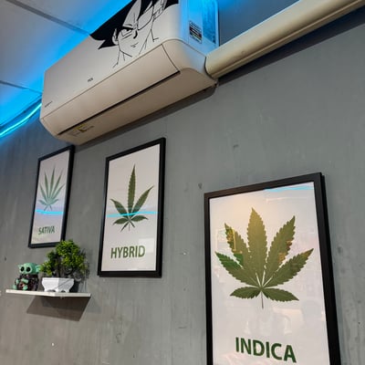 กัญชาบุญมี BUNMEE Cannabis shop product image