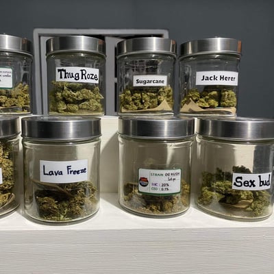 JACK HERER SHOP product image