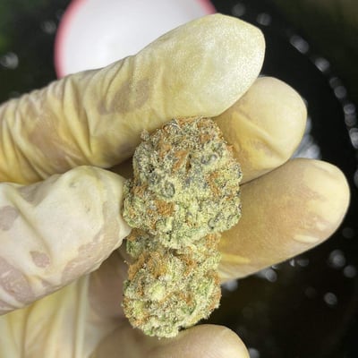 Cannabis’s Supershop Krabi Town product image