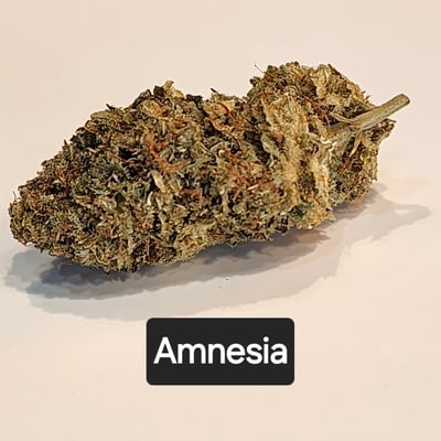 Amnesia flower