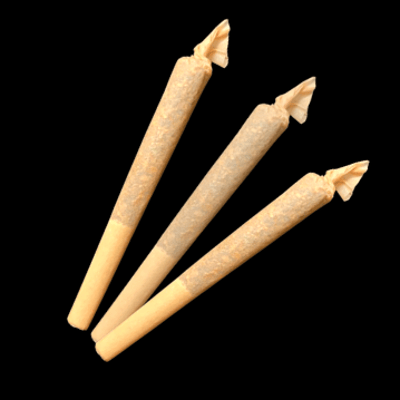 Indica Dominant Joint