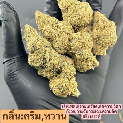 Queen Cannabis product image