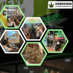 Weedview Cannabis marketplace