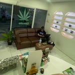 WeedU - Weed Shop Cannabis Dispensary 大麻 Marijuanas