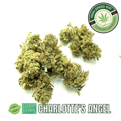 Charlotte's Angel 2:1 greenhouse
