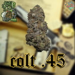 Colt.45 (Inhouse)