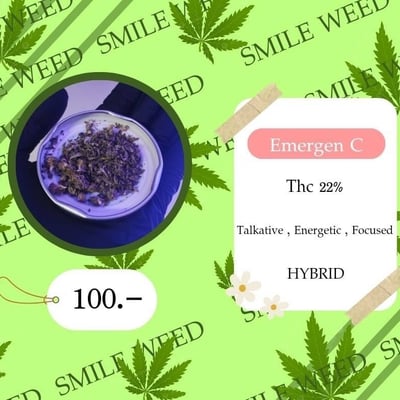 ร้านกัญชาใกล้ฉัน (smileweed) Cannabis shop product image