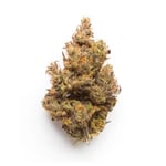 HollyWeed EXPRESS On Nut Cannabis - Weed Dispensary
