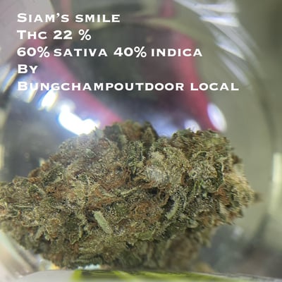 Siam’s smile 