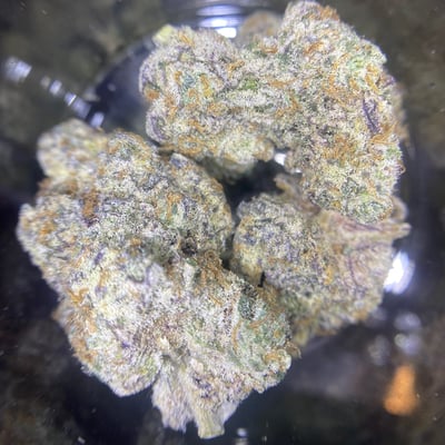 TouringLife Cannabis Dispensary product image