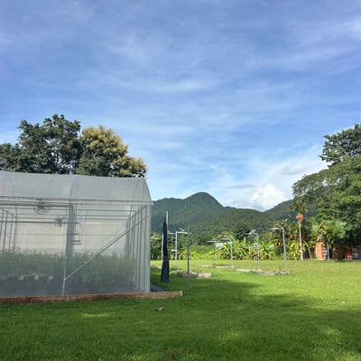 Lafayette Organic Weed & Cannabis Farm product image