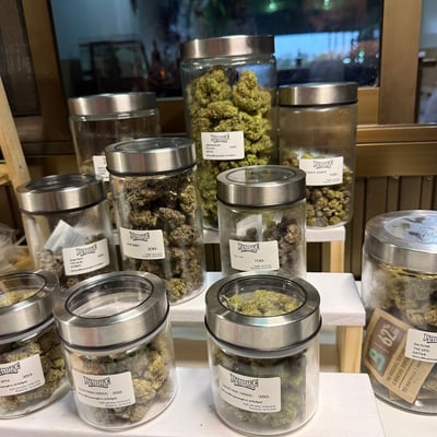 Jungle Kings product image