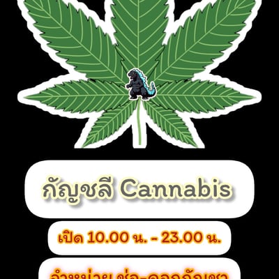 กัญชลี Cannabis product image