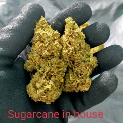 HerbByR-Cannabis - 100% Organic product image