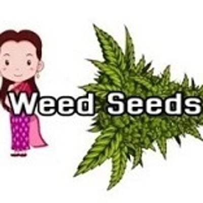 Weed Seeds Thailand