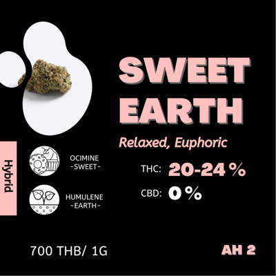 Sweet Earth 