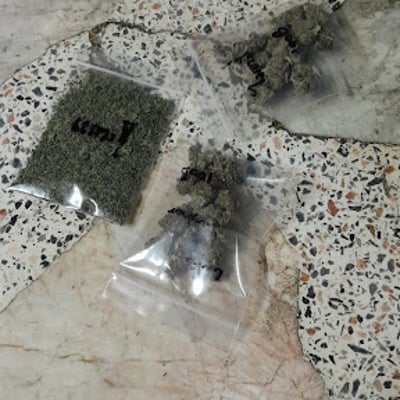 Daniel Cannabis Shop product image