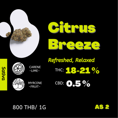 Citrus Breeze