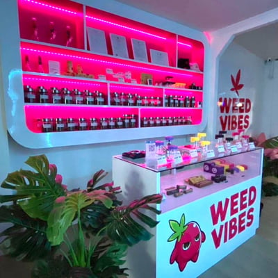 WEED VIBES • ร้านขายกัญชา • Cannabis product image