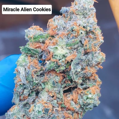 Miracle Aliens Cookies 