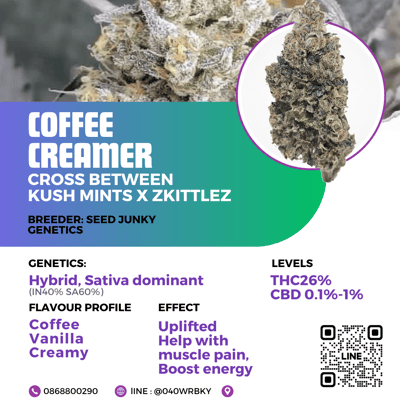 Coffee creamer (Seed junky)