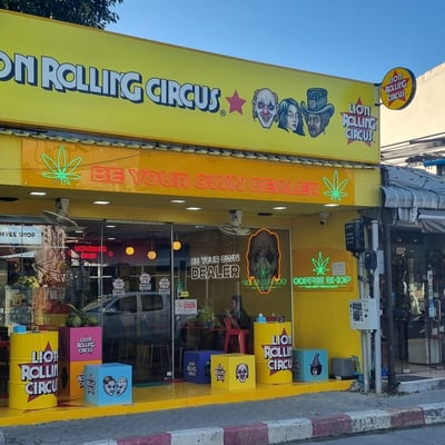 LION ROLLING CIRCUS - Dispensary, Chaweng Beach product image