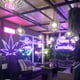 Queen Cannabis | Weed shop | Dispensary
