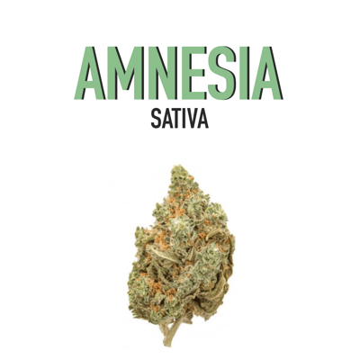 AMNESIA HAZE