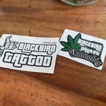 Blackbird Phuket Cannabis