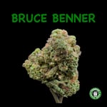 Bruce Benner