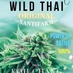 Sativa Garage High Cannabis Club