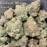 Critical Mass