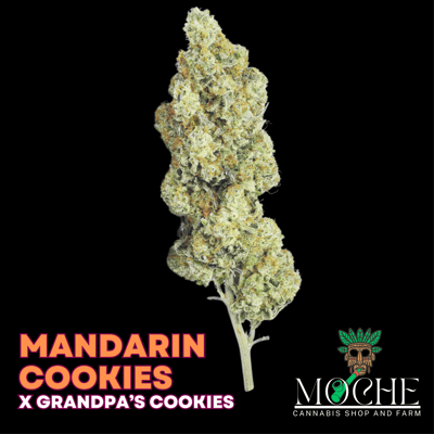 Mandarin Cookies X Grandpa's Cookie