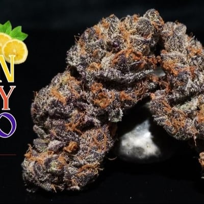 Lemon Cherry Gelato