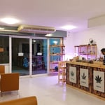 HOMOBIS cannabis tea house