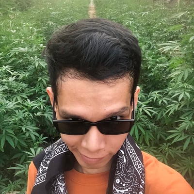 Lollipop Cannabis Farm product image
