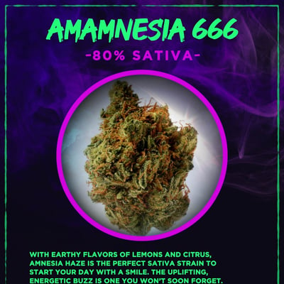 AMNESIA 666