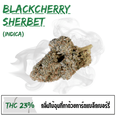 BLACKCHERRY Sherbet (Exotic)