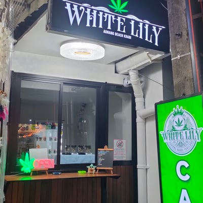 WHITE LILY AO NANG BEACH WEED SHOP CANNABIS DISPENSARY DELIVERY AONANG product image