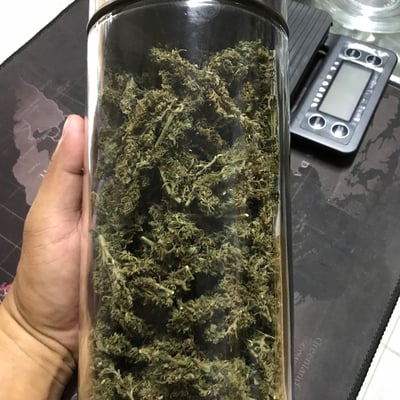 ร้านกัญชา บุปผากัญ 420 | Bupphakan 420 Cannabis Shop product image