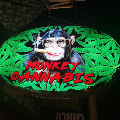 Monkey Reggae Bar product image