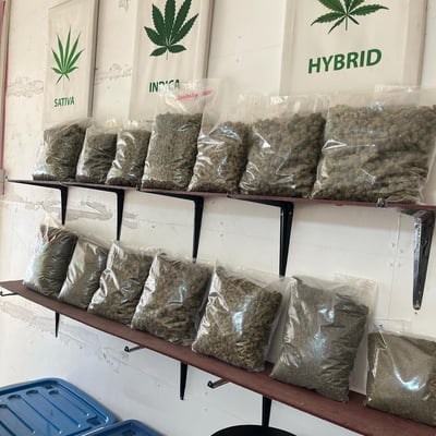 Cannabis by P.O.G. product image
