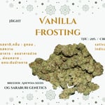 Vanilla Frosting 