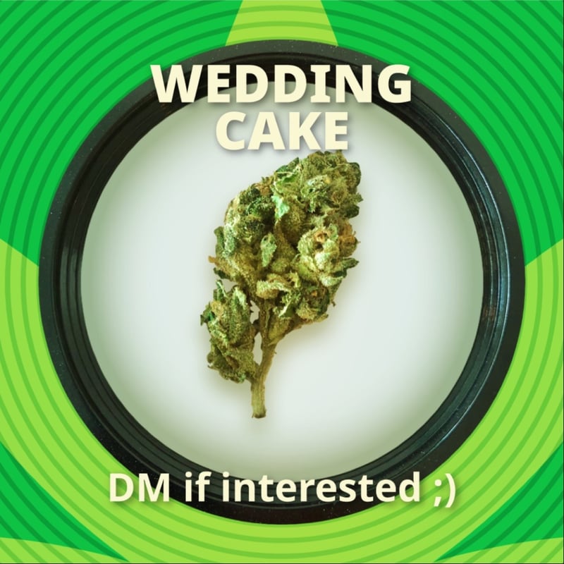 Wedding Cake Cannabis Flower at Pachamama Dispensary and Bakery House ...