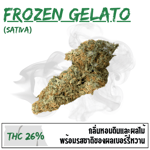 Frozen Gelato (Exotic)