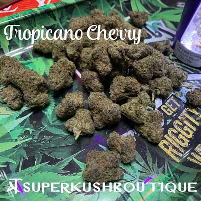 Tropicano Cherry